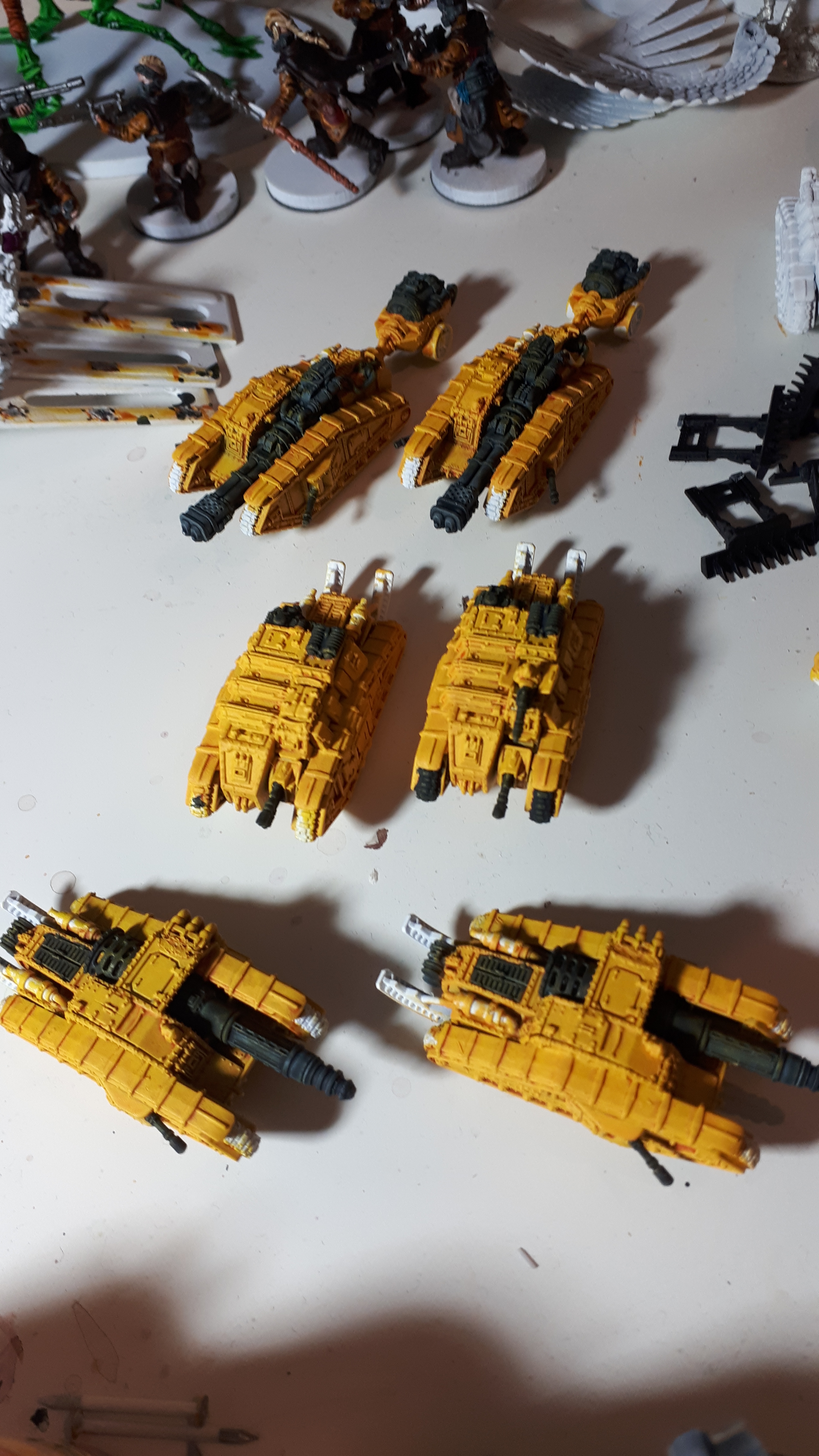 vp4t65dgnerc.jpg